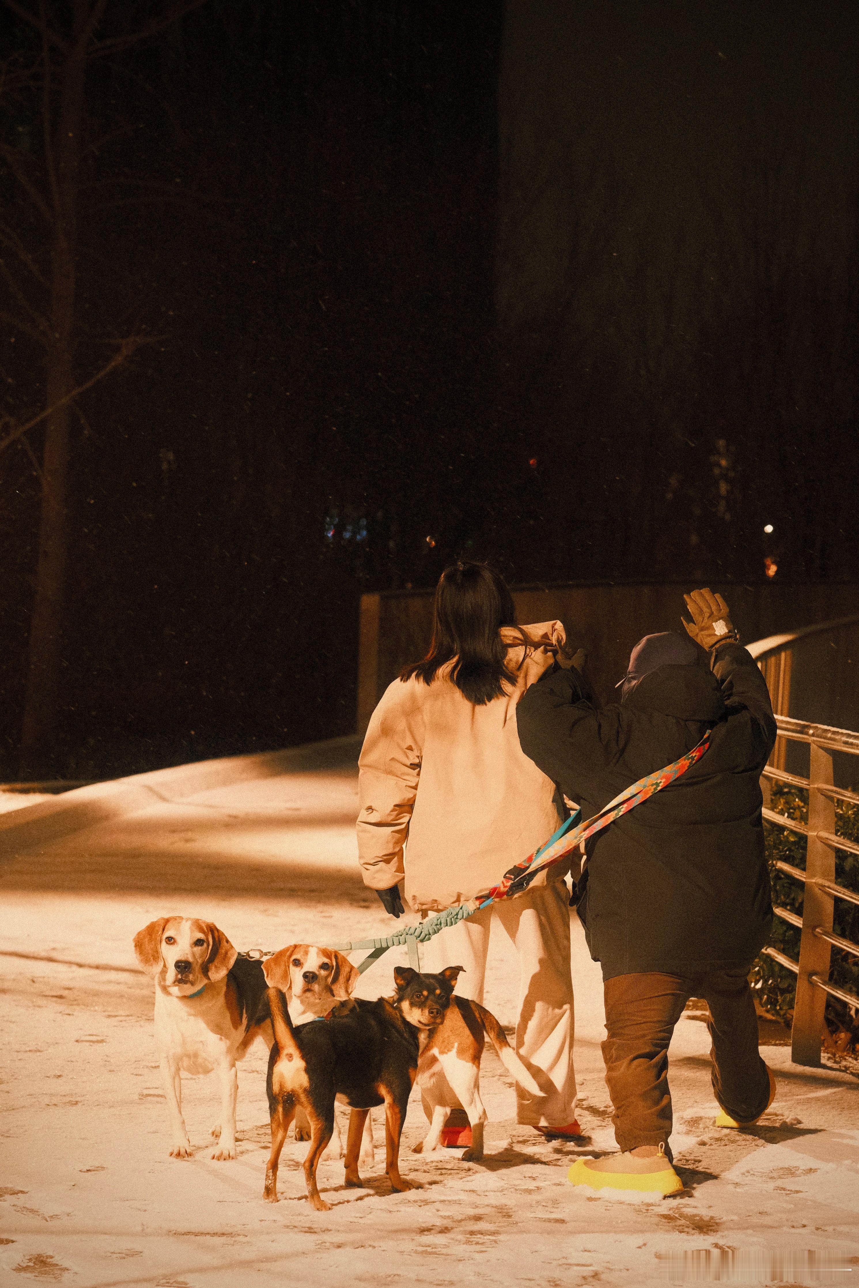 给邻居拍夫妻产前合影最满意的一张照片… 