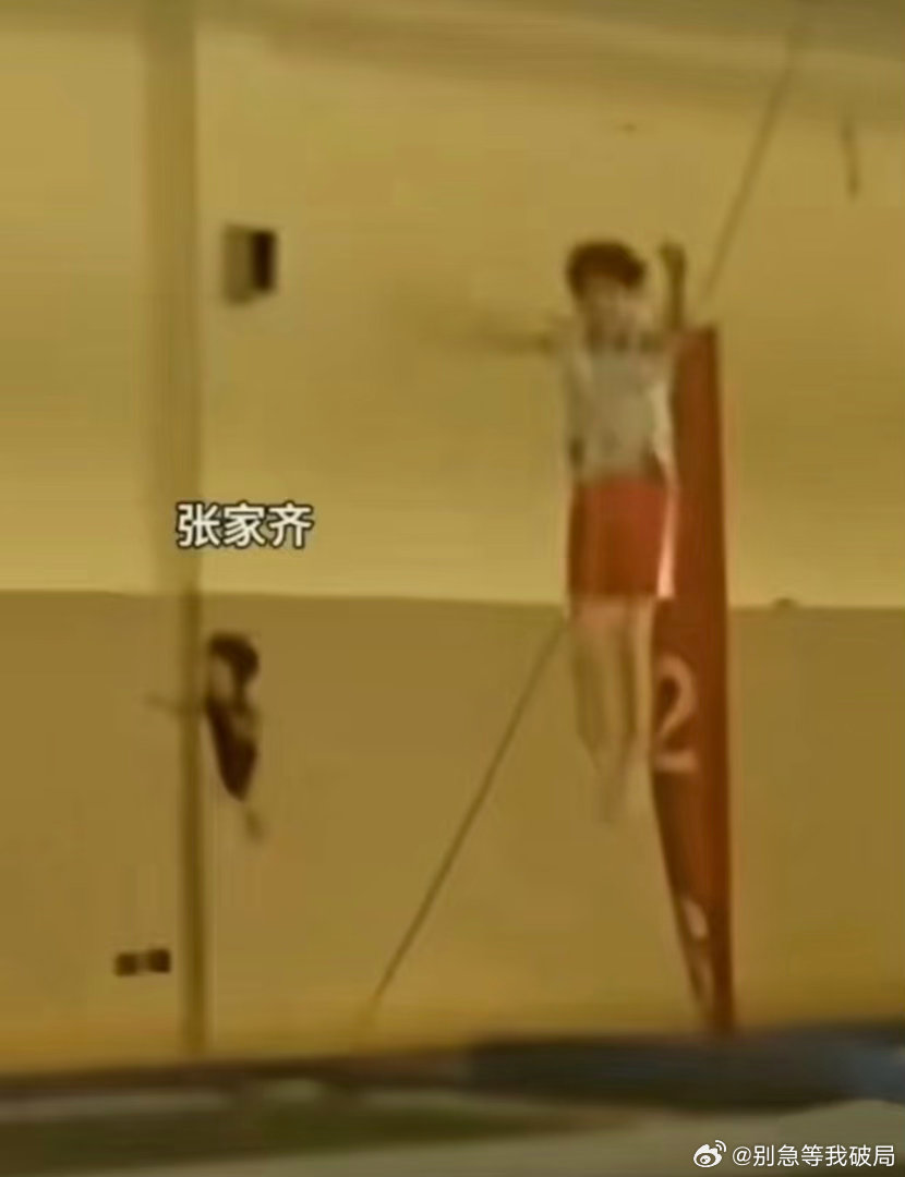看到这张图还是很震撼，左边的小孩是张家齐…这么小的孩子待在队里训练，父母怎么忍心