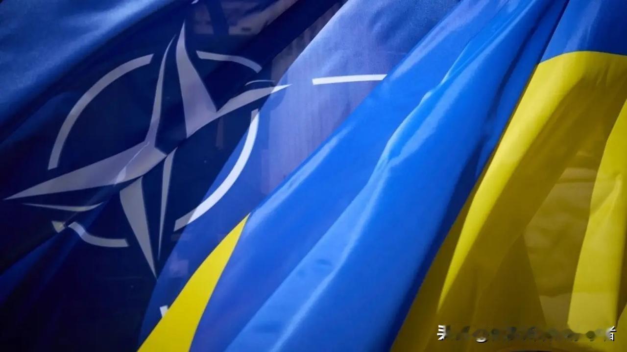 “某种保护国”：专家透露乌克兰将在何种情况下加入北约。
政治学家拉尔：乌克兰可以