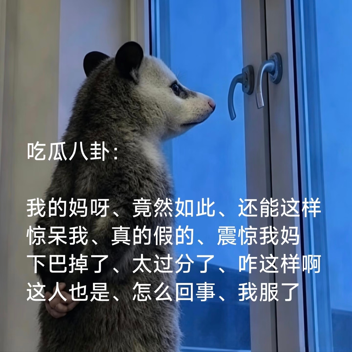 我身边没有吃百家饭的朋友，不然我是真想急头白脸的热聊一下hdl的各种瓜啊
