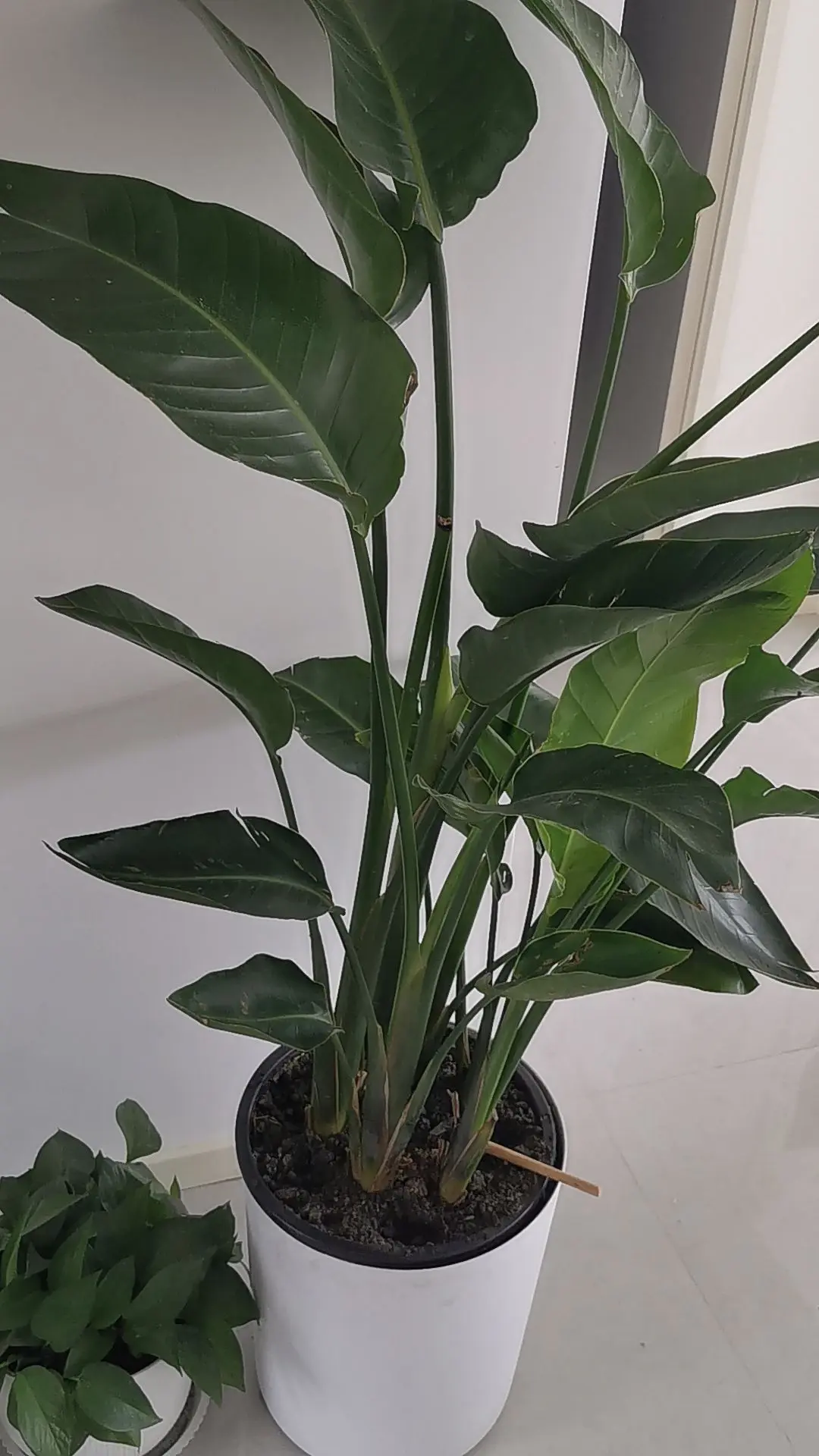 上场专业范省心每一程