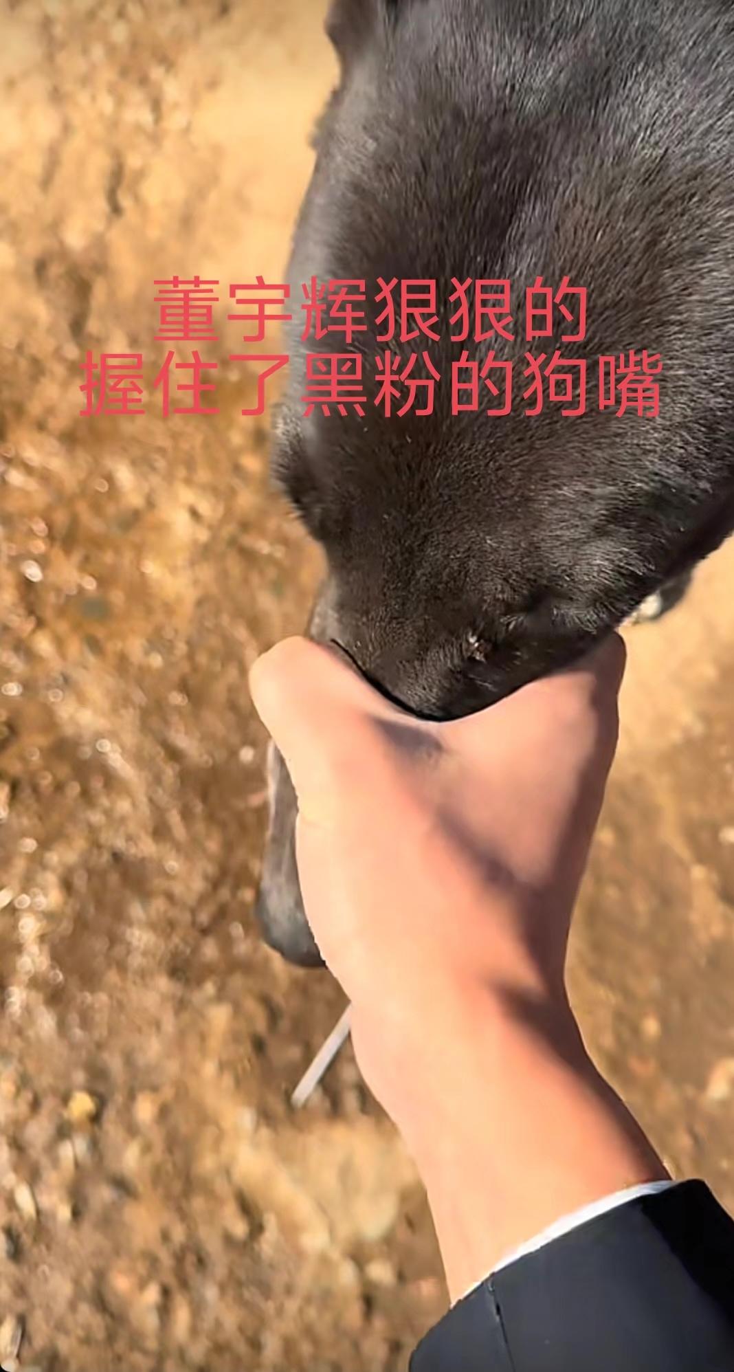 董事长回乡秒变“小孩”，
玩鞭，炸狗盆，
玩黑狗……
开心的不亦乐乎。
宇辉对黑