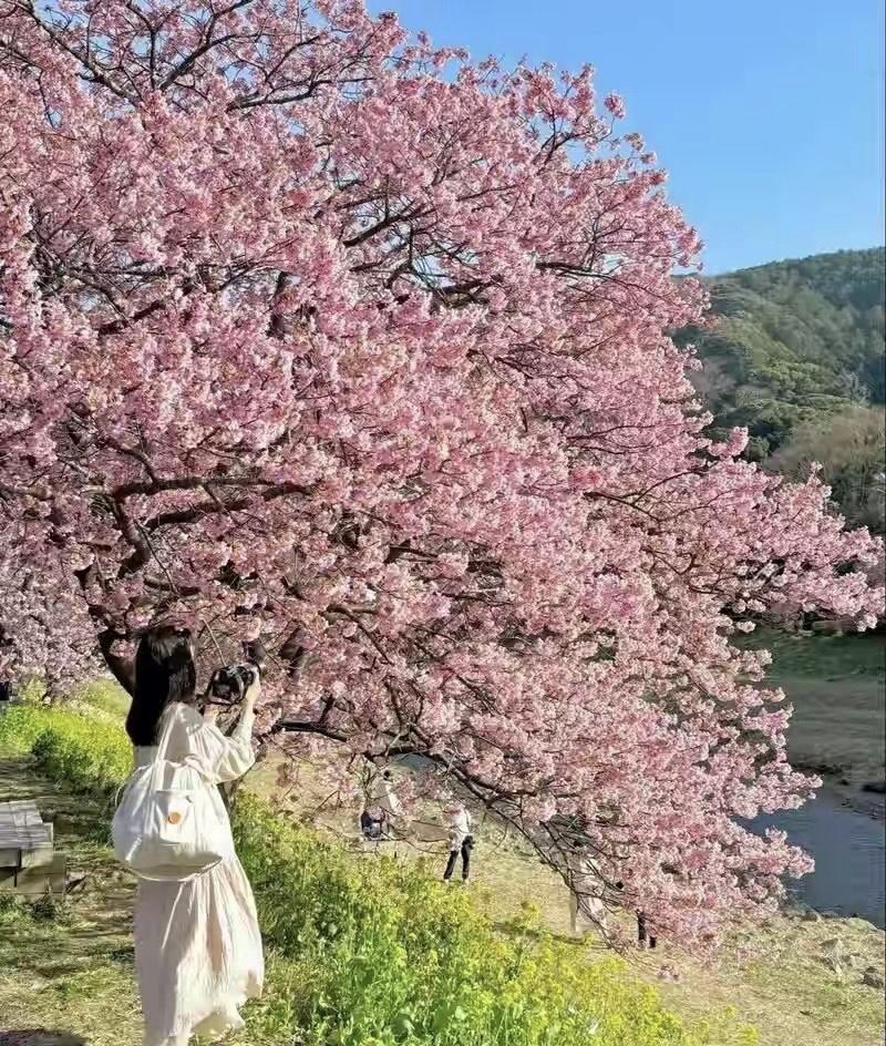 中国四季，何时最美？

这个问题要是真让我选一个答案，我肯定得跟你急——因为真的