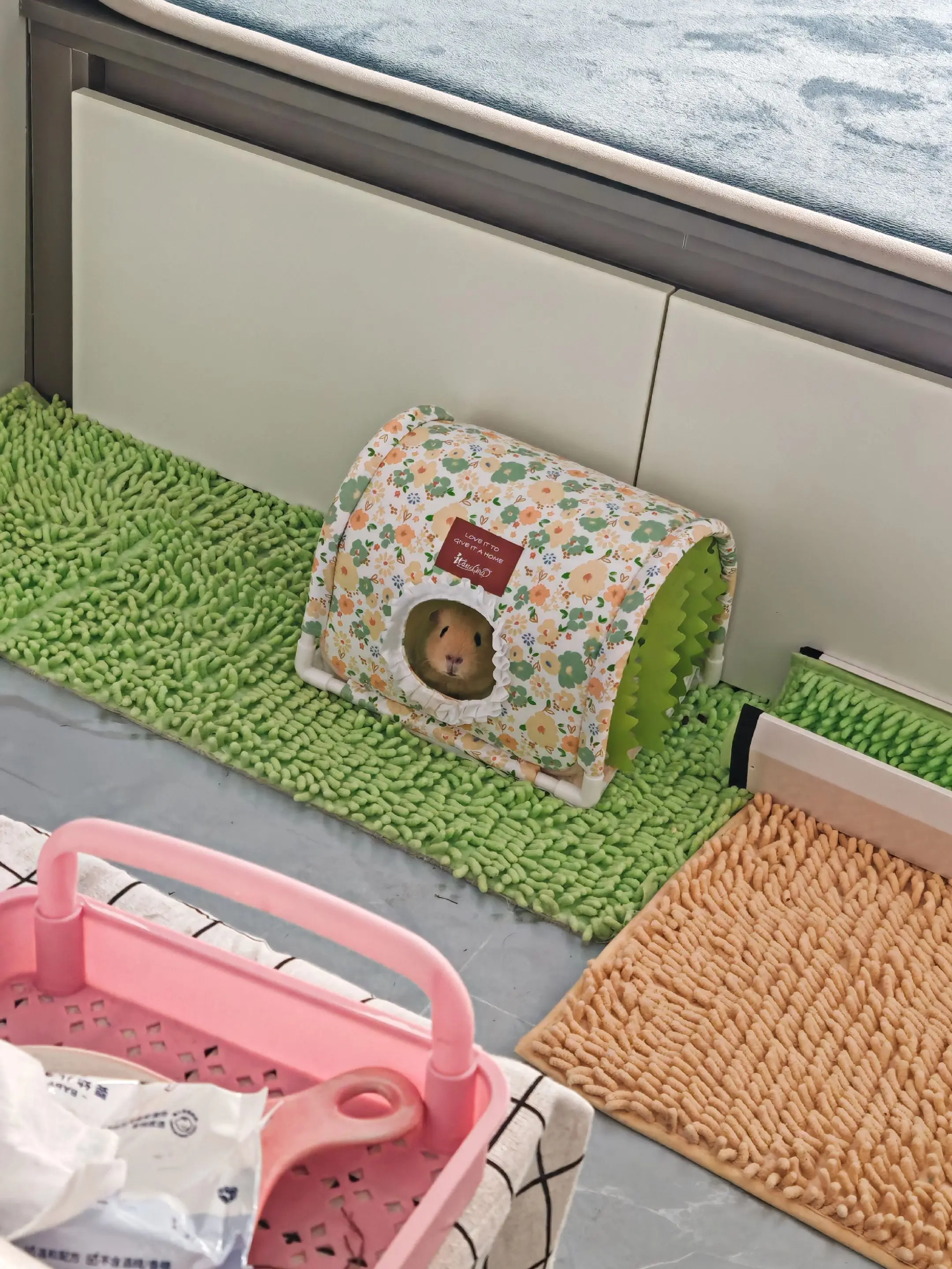 妈妈你看我可爱不