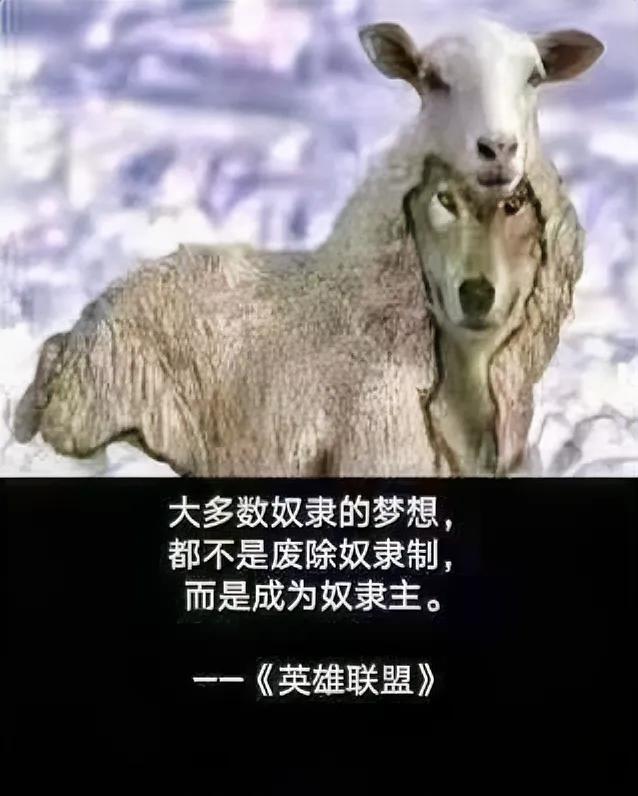 这是个什么梦想啊？