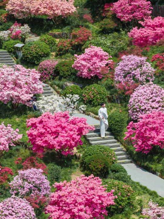 五一反向旅游，浙江的春天已next level