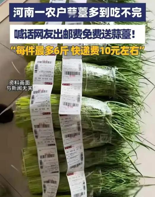 蒜苔随便拿，午饭随便趴！这个五一，河南农村被城里来“免费旅游抽蒜苔”的车队堵得水