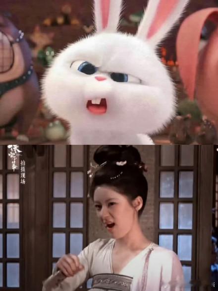 #赵露思馕比脸大# [兔子]#赵露思兔塑# 是非常伟大的兔塑[兔子][兔子][兔