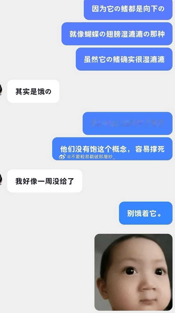 21647P1是看他家的小斗鱼。P2的语境是他说他有一些学习的方法，可以教我。这
