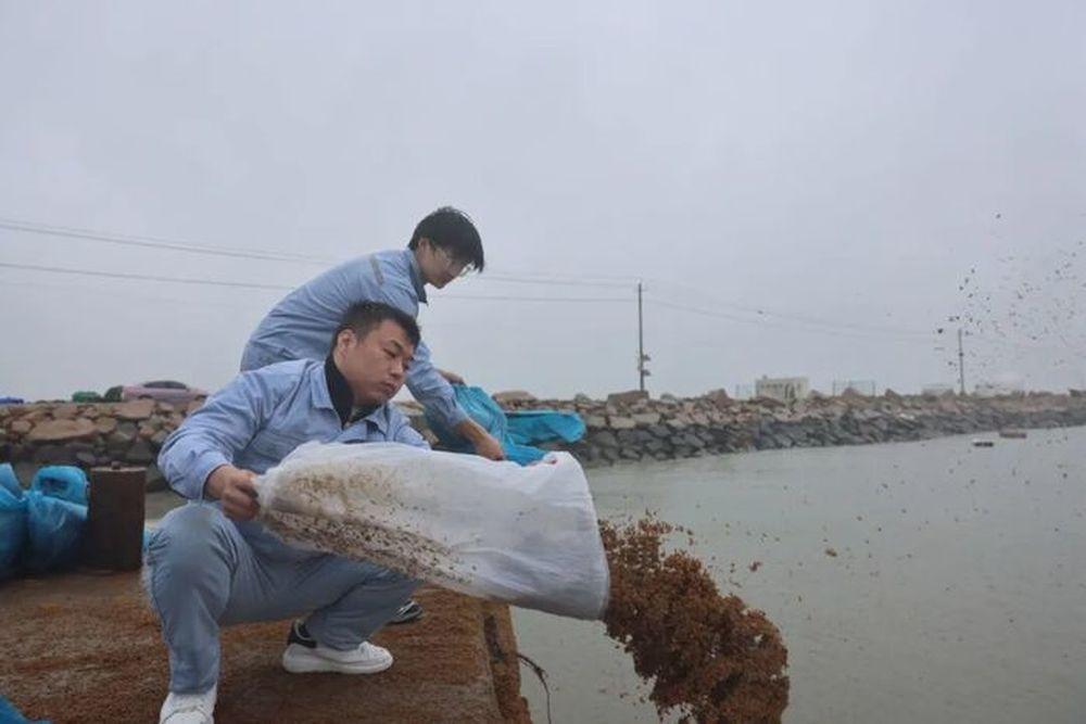 今天是第26个国际生物多样性日。5月20日至21日，国家电投山东公司海风公司在烟