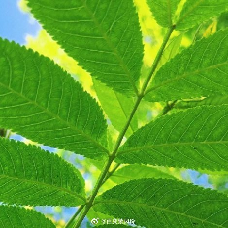 不急不躁，才能静下心来审视生活，审视自己，稳扎稳打，做好自己该做的事。 