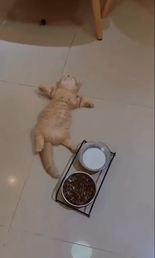 撑了 ​​​