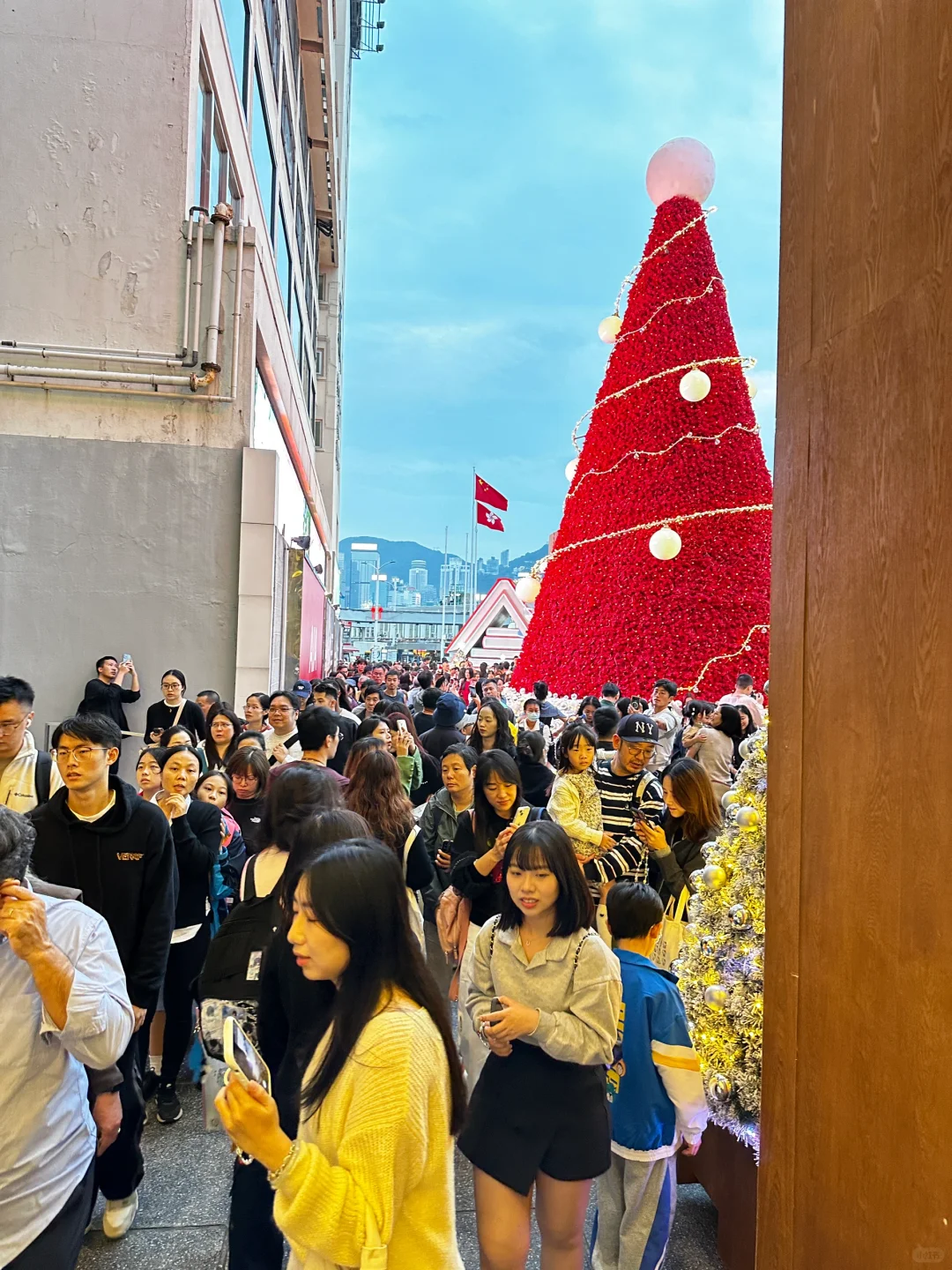 🎄香港海港城圣诞树最新实况！！！人多到💥