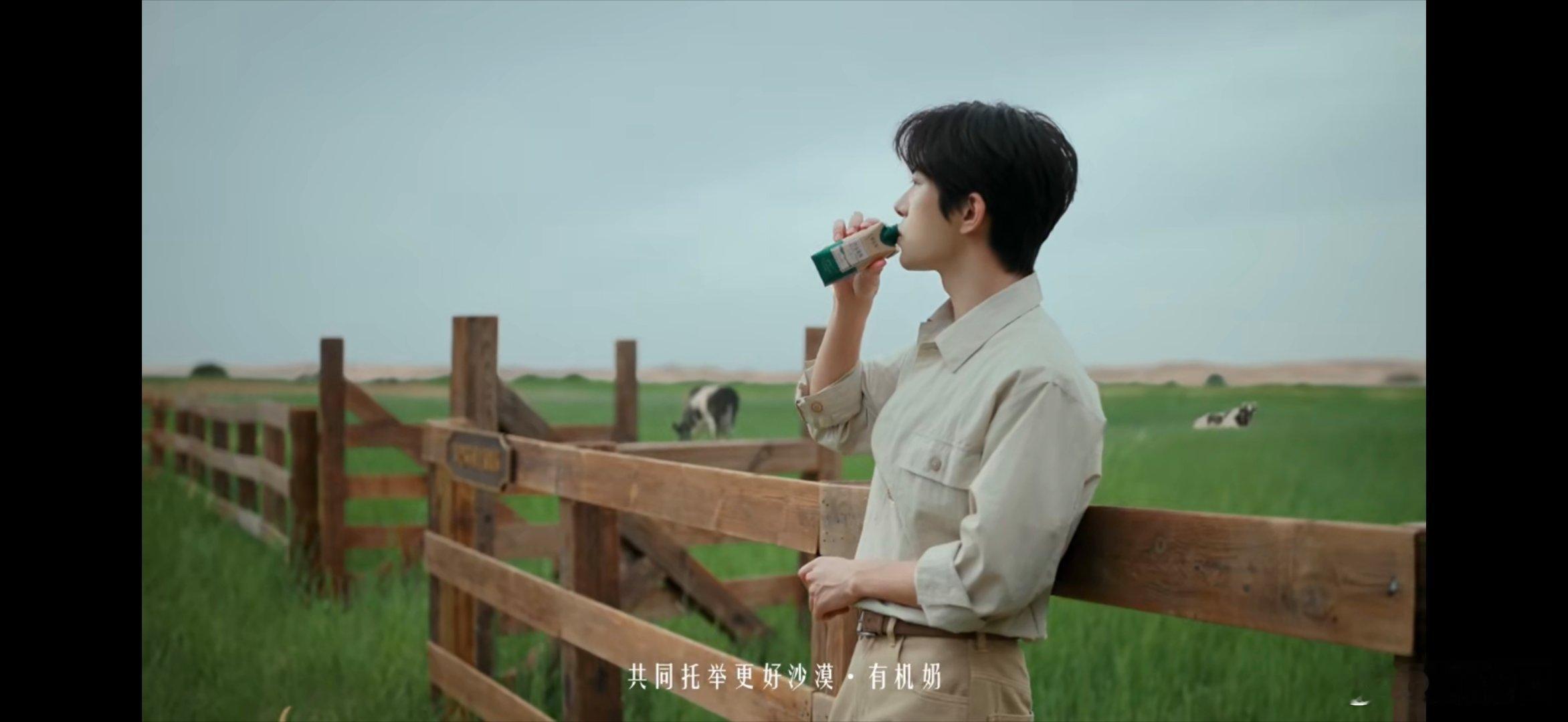 特仑苏会员日大馈赠 刚看了特仑苏和易烊千玺拍的TVC，把草原的美拍得太具象了。想