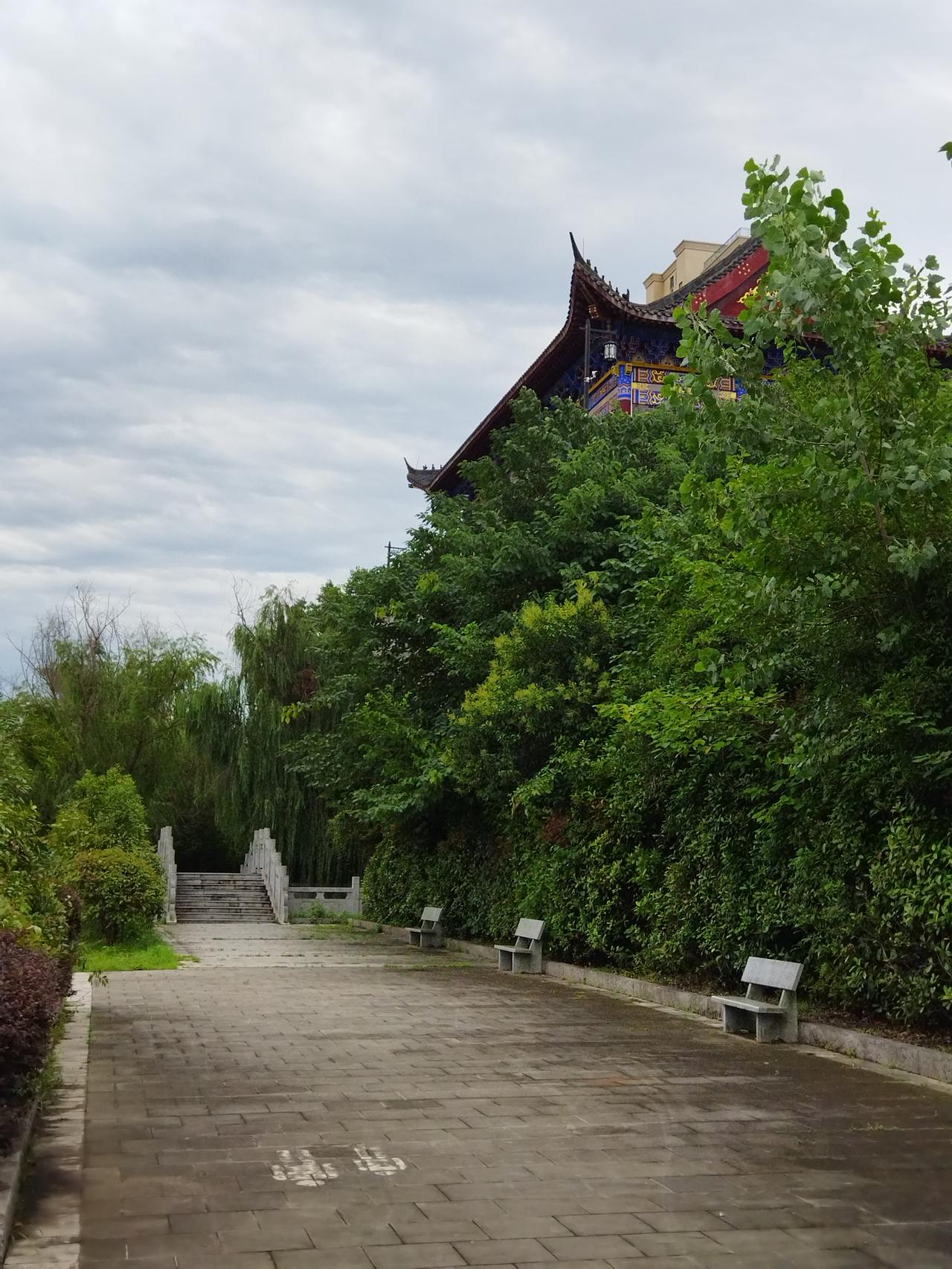 今天南京早上凉快得让人感动，风带着雨，妥妥是“巴威”台风的前奏。前两天热得身体像