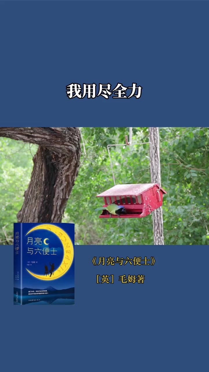 毛姆的《月亮与六便士》有句话特别适合我：“我用尽了全力，过着平凡的一生。”每天准