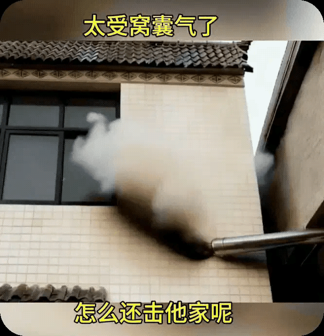 要是我碰到这样的邻居，一定让他吃不了，兜着走。
