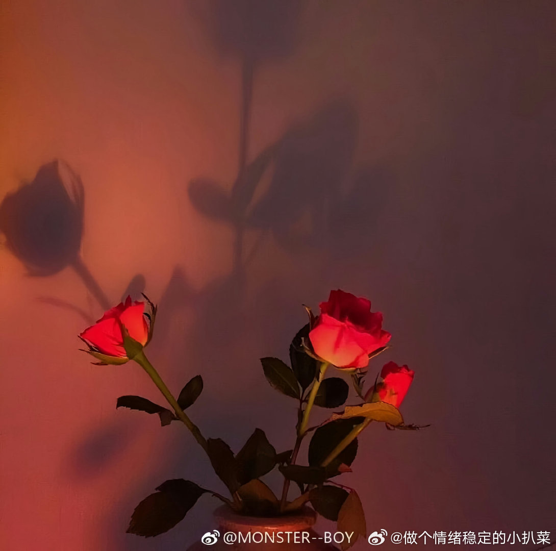 善良是一个人身上最可贵的品质，无论什么时候我们都应该保持一颗善良的心，待人以善者