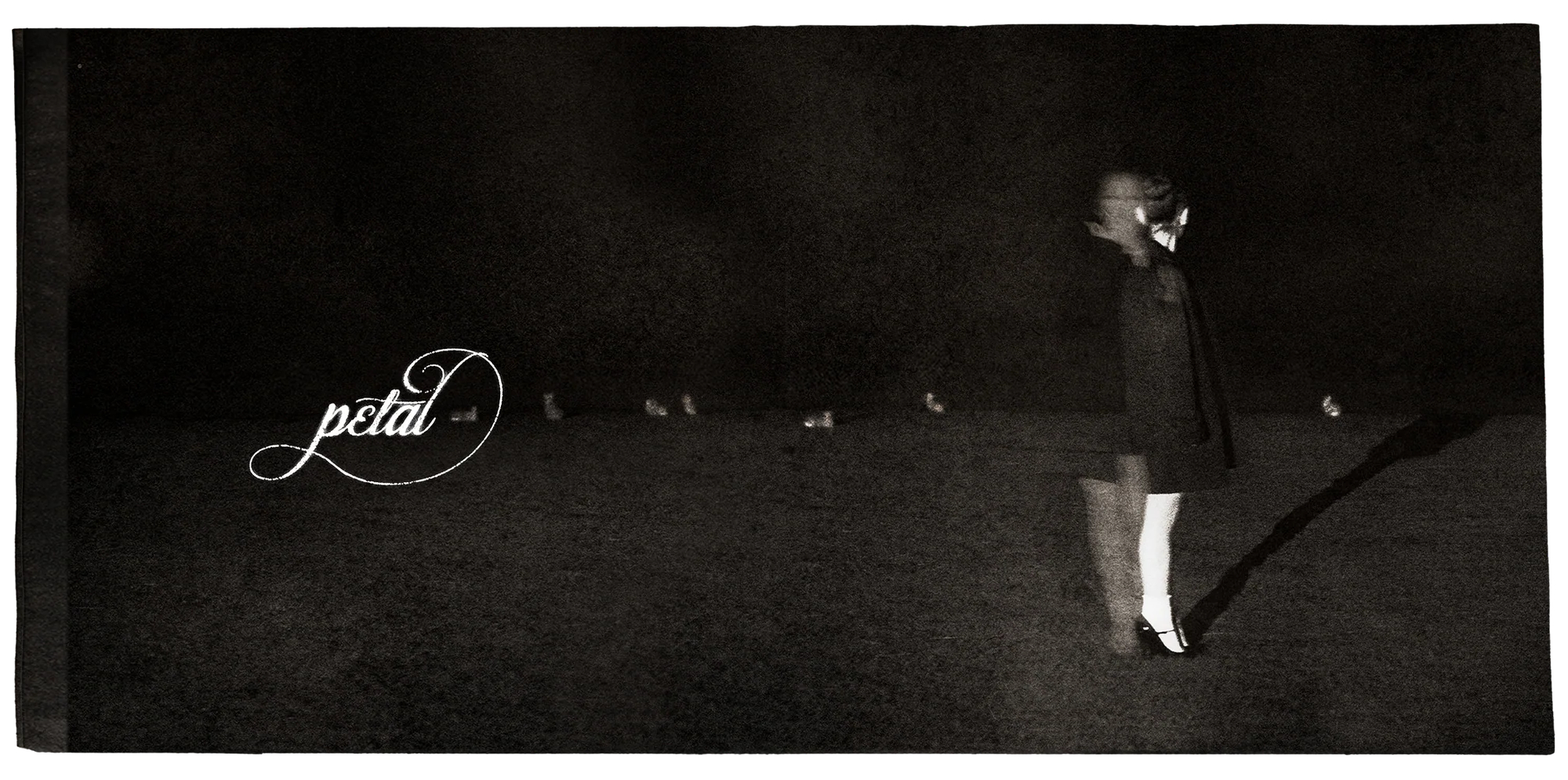 【🚨】Ariana Grande 全新专辑『petal』官方物料及新era L