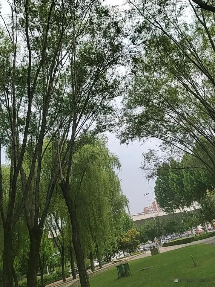 每日精进闻思修🍃

恐惧的本质是“拴在某物上”
——拴在结果上怕失败，
拴在评