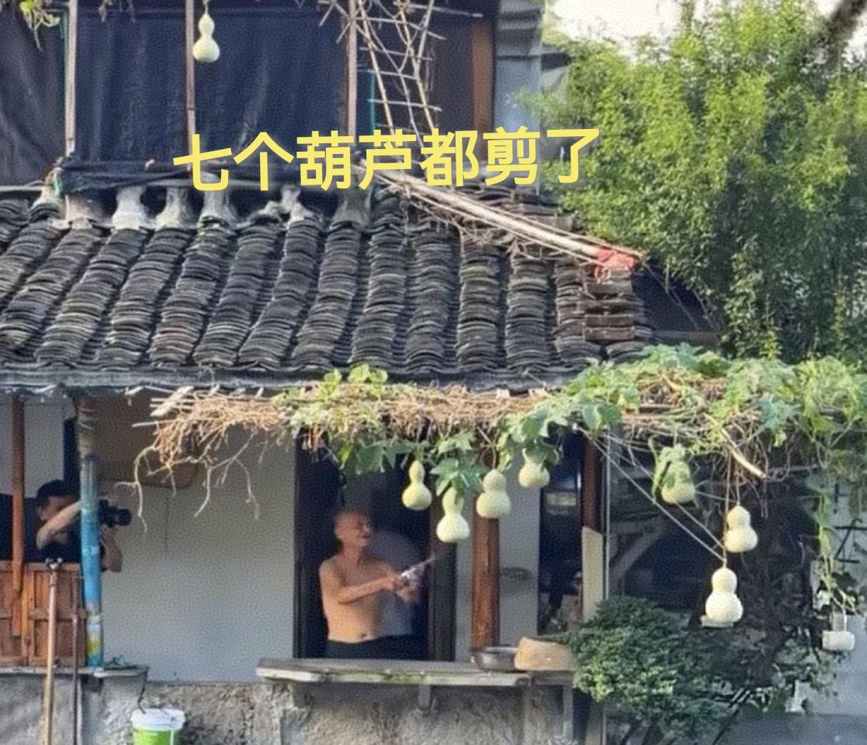 我早知道会有这么一天，绍兴葫芦爷爷剪掉葫芦
 
一株六块钱的葫芦苗，七个偶然结出