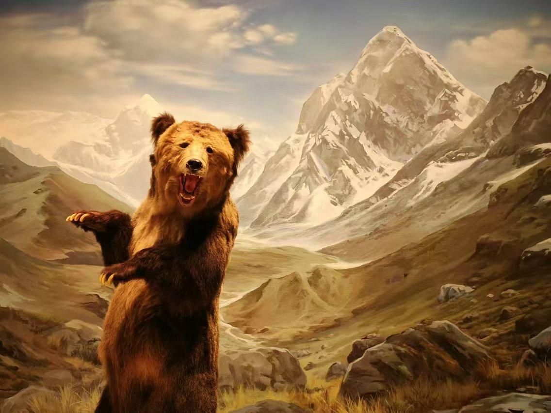 那句话能更好的描述这幅图呢？