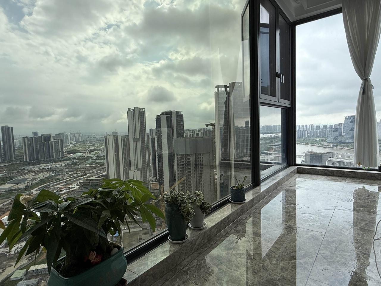 期待着这个蒲公英快快长出来。