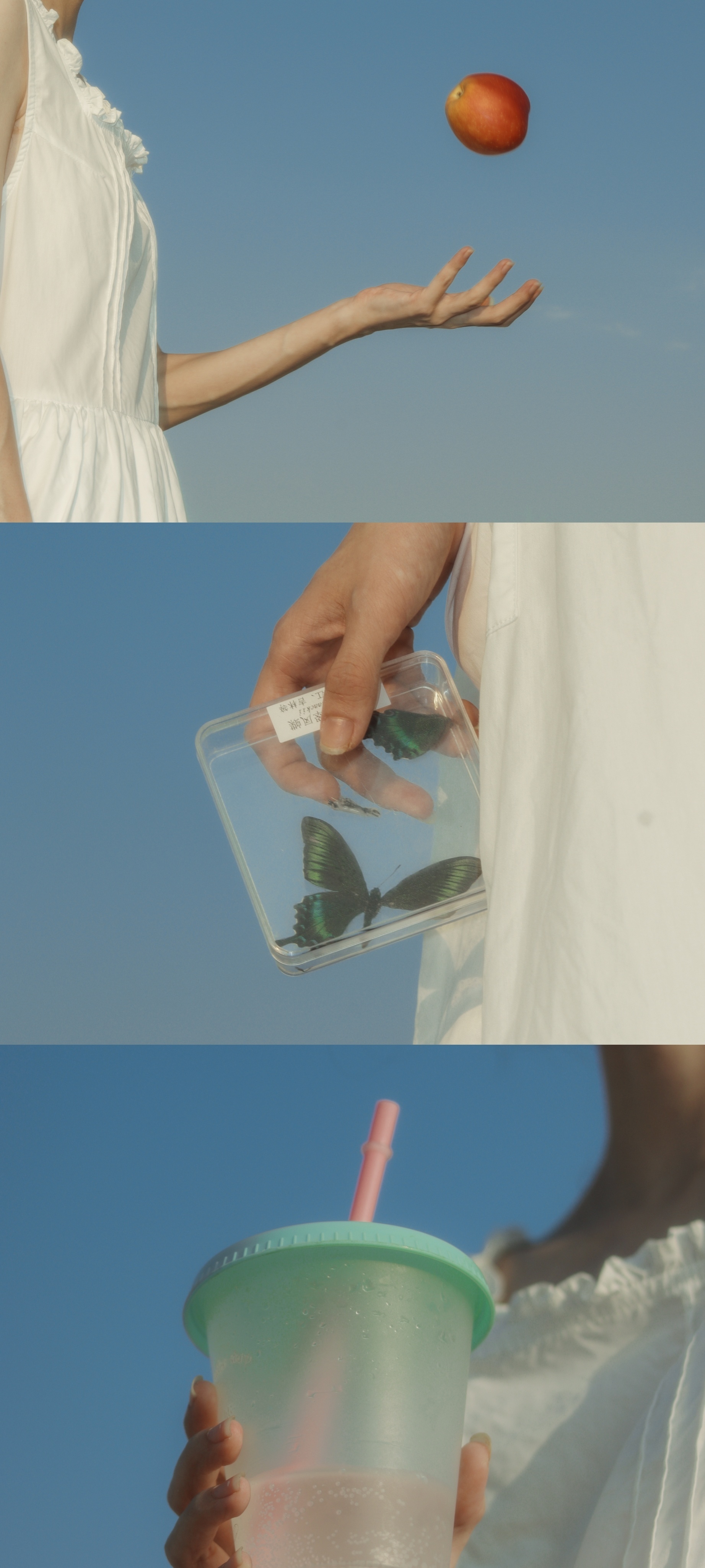 就让我做我自己吧。一个温情的我，无情的我，温柔的我，各式各样的我。丨鲍勃·迪伦 