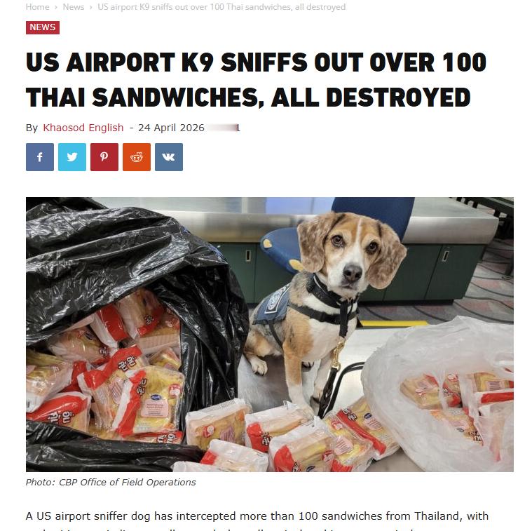 美国海关搜查犬搜出违规大量食物！上百份三明治被销毁！美国海关及边境保卫局近日利用