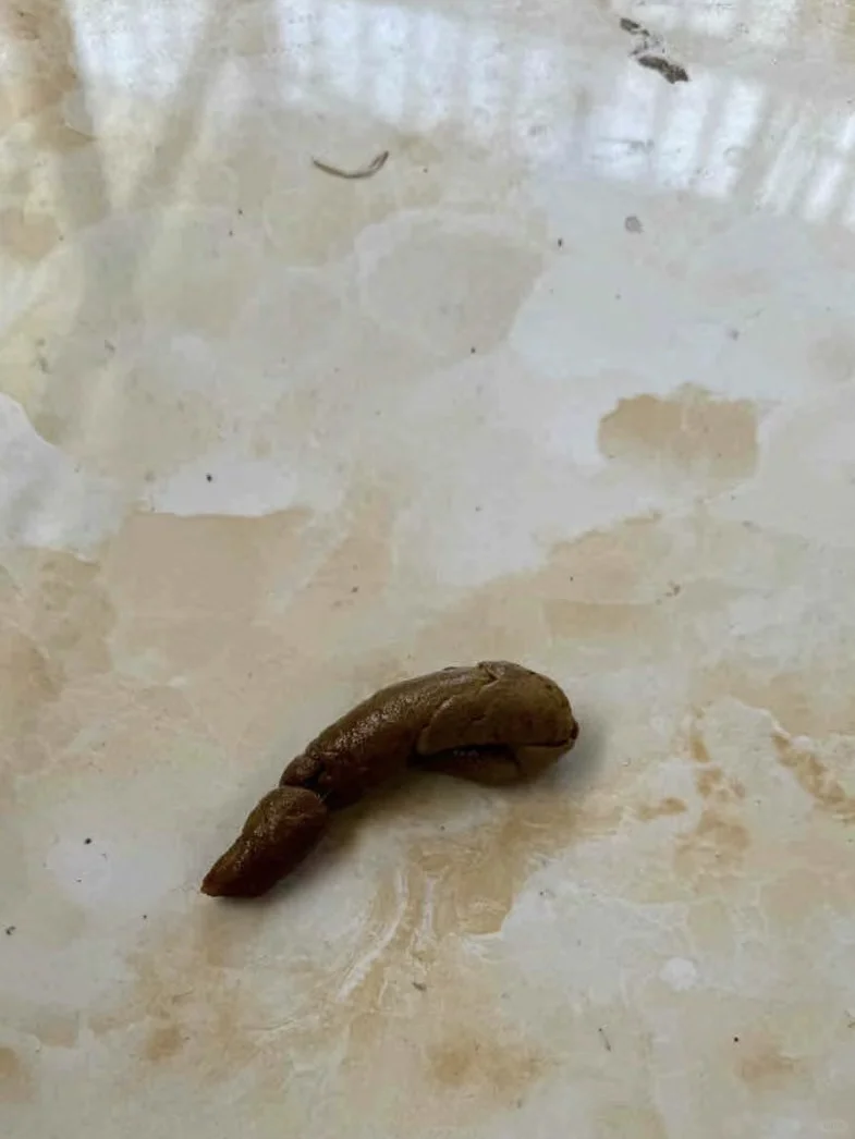 深扒！荒野盛宴鸭肉狗粮值得买吗？