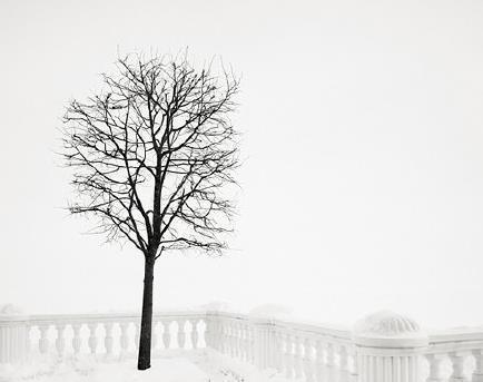 给更多自己决定控制。要他们善于且习惯做艰难的决定。——威廉·斯蒂克斯鲁德&奈德·