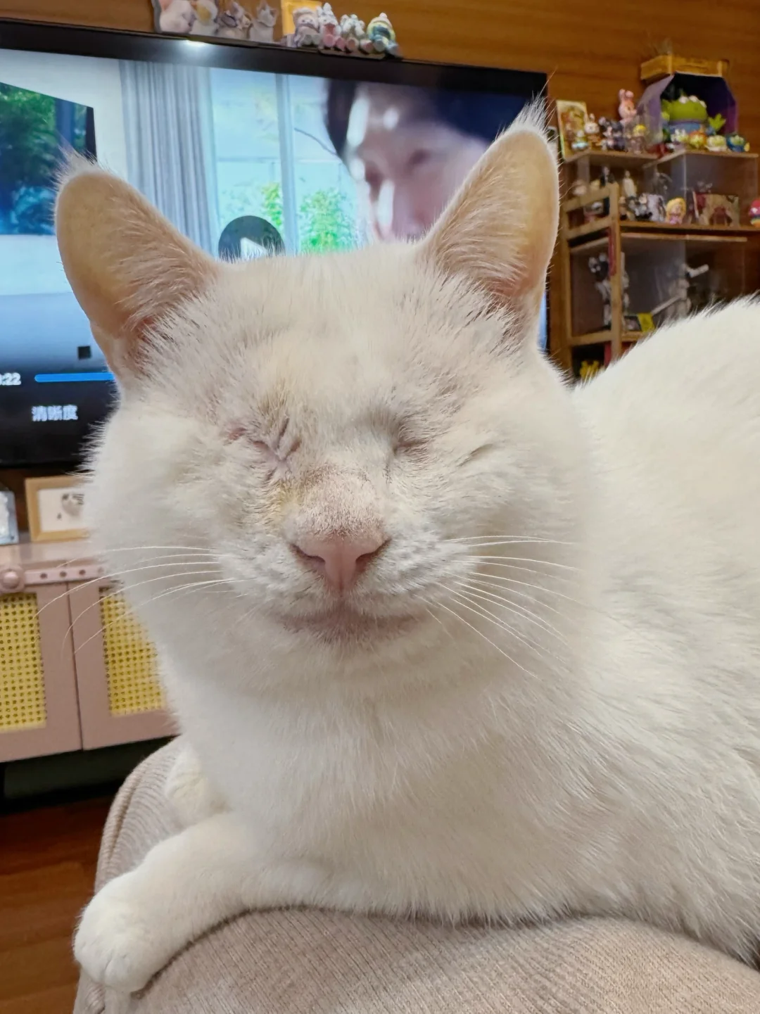 人，我的美貌正在恢复中~