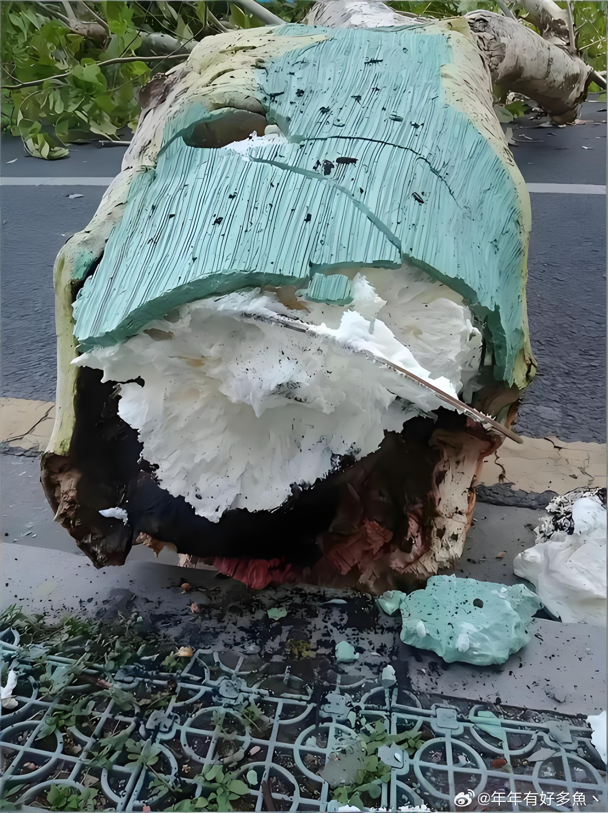 这世界还有什么是真的？ 