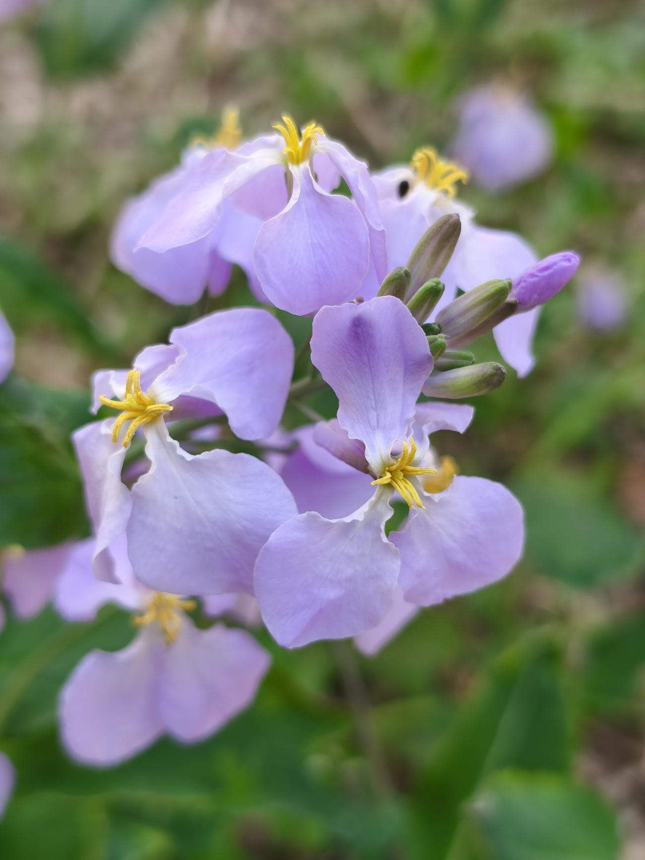惊讶是惊讶！惋惜也是惋惜！
世上的路有千万条，最终却走上了让人不耻的路。
是怨别