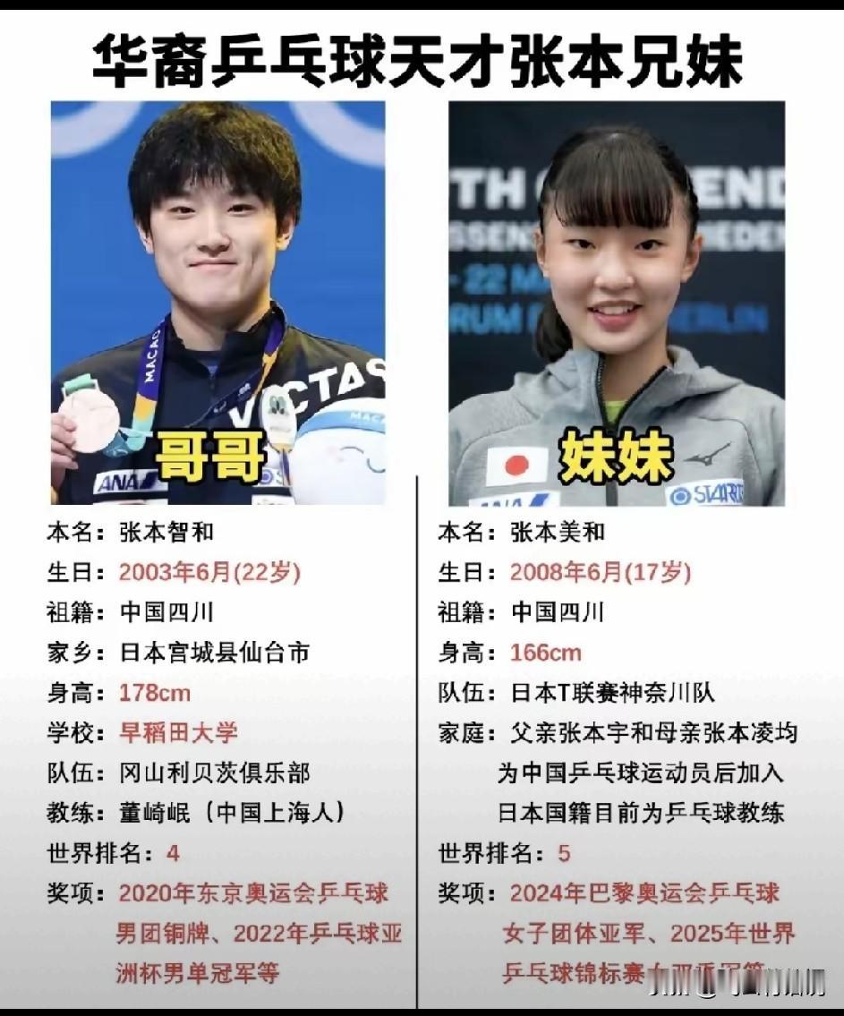 张本智和和张本美和兄妹俩联手拿两个单打冠军，在世界乒乓球的比赛中也是绝无仅有
这