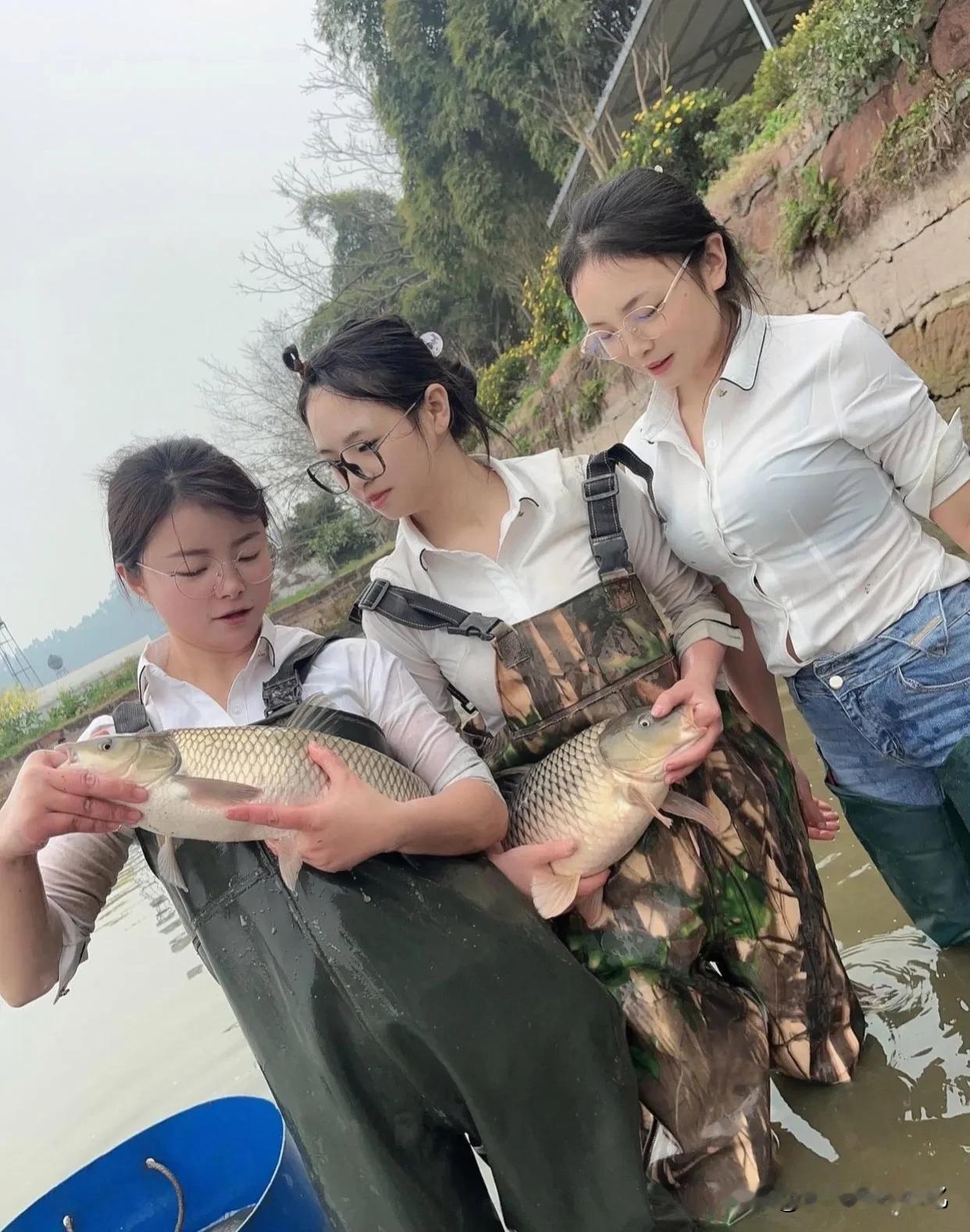三个大美女一起捉鱼！