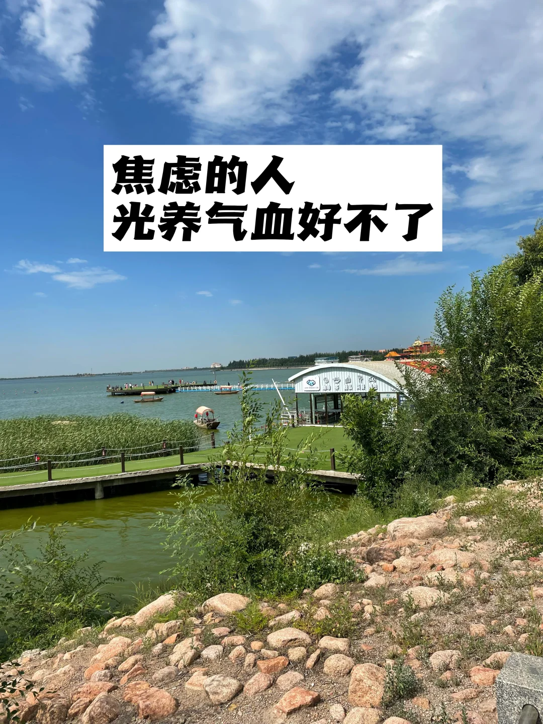 焦虑的人，光养气血好不了.