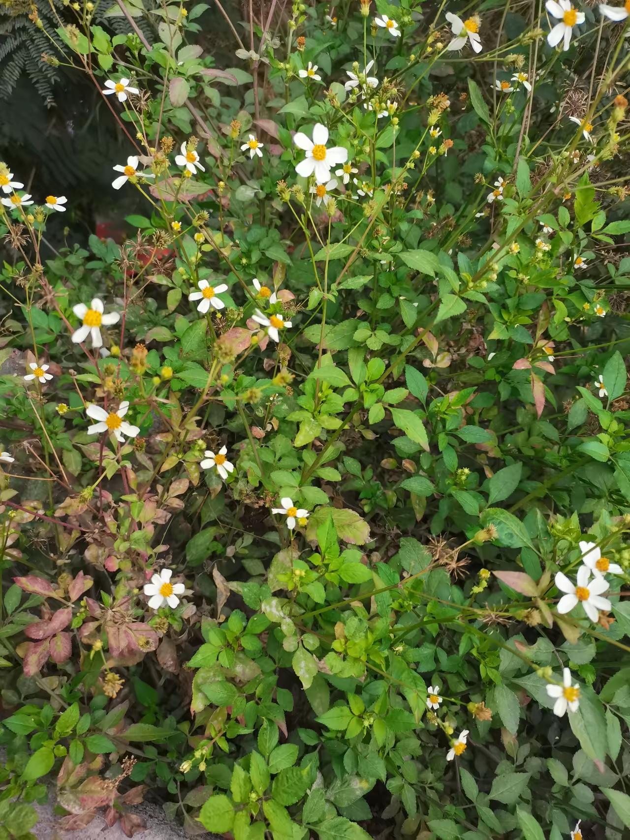 我发现太多婚姻的坑，都是从生完孩子后男人甩养家重担开始的，更可恨的是，不少女人还