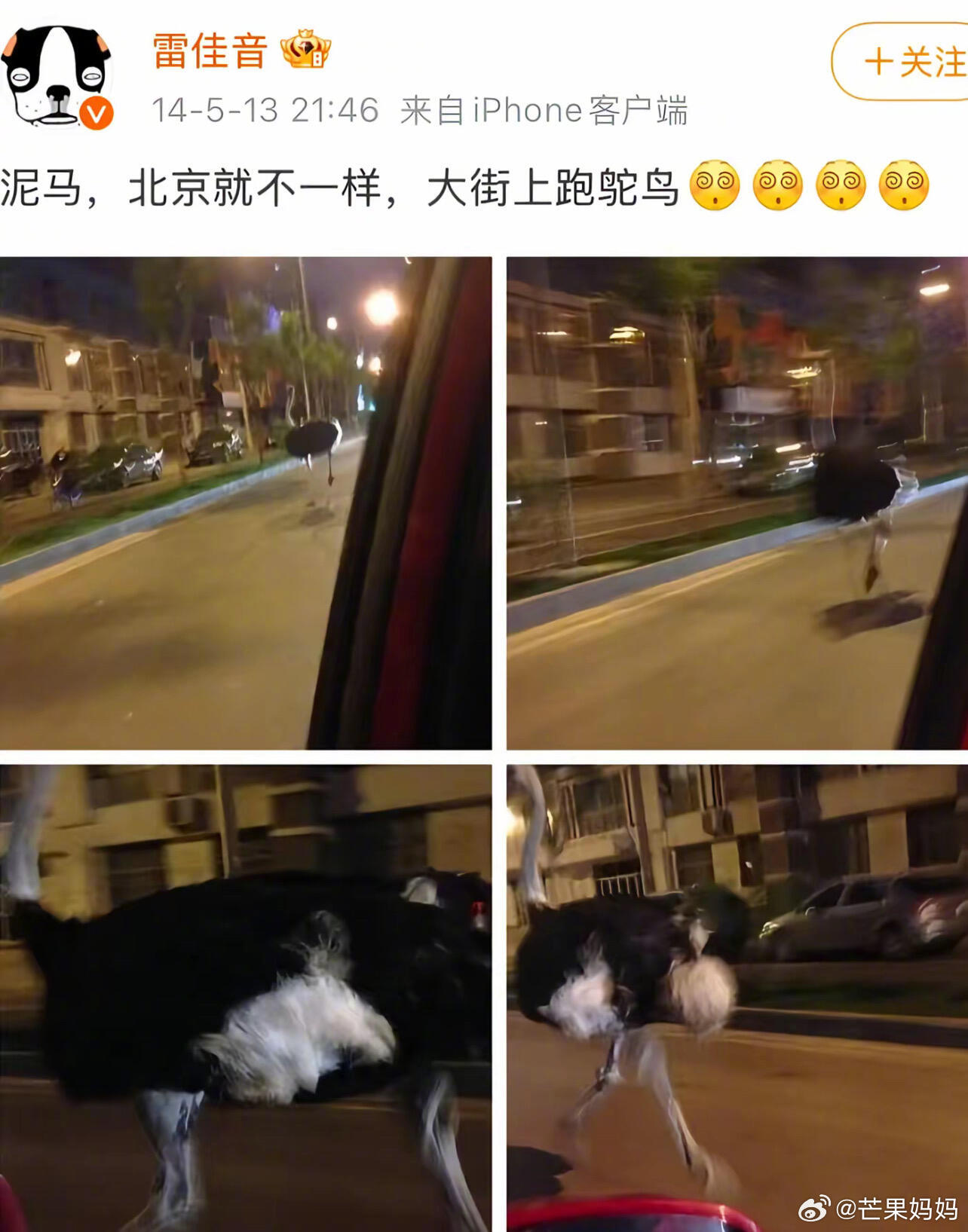 还是古早内娱明星的活人感有意思