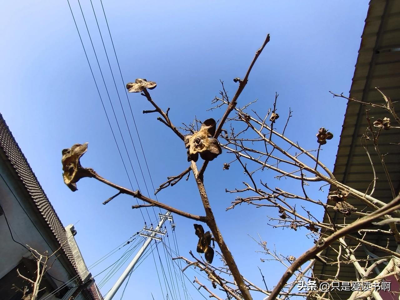 命运着实难以捉摸。

刘二年轻的时候生意做的风生水起，不到30岁就已经财富自由了