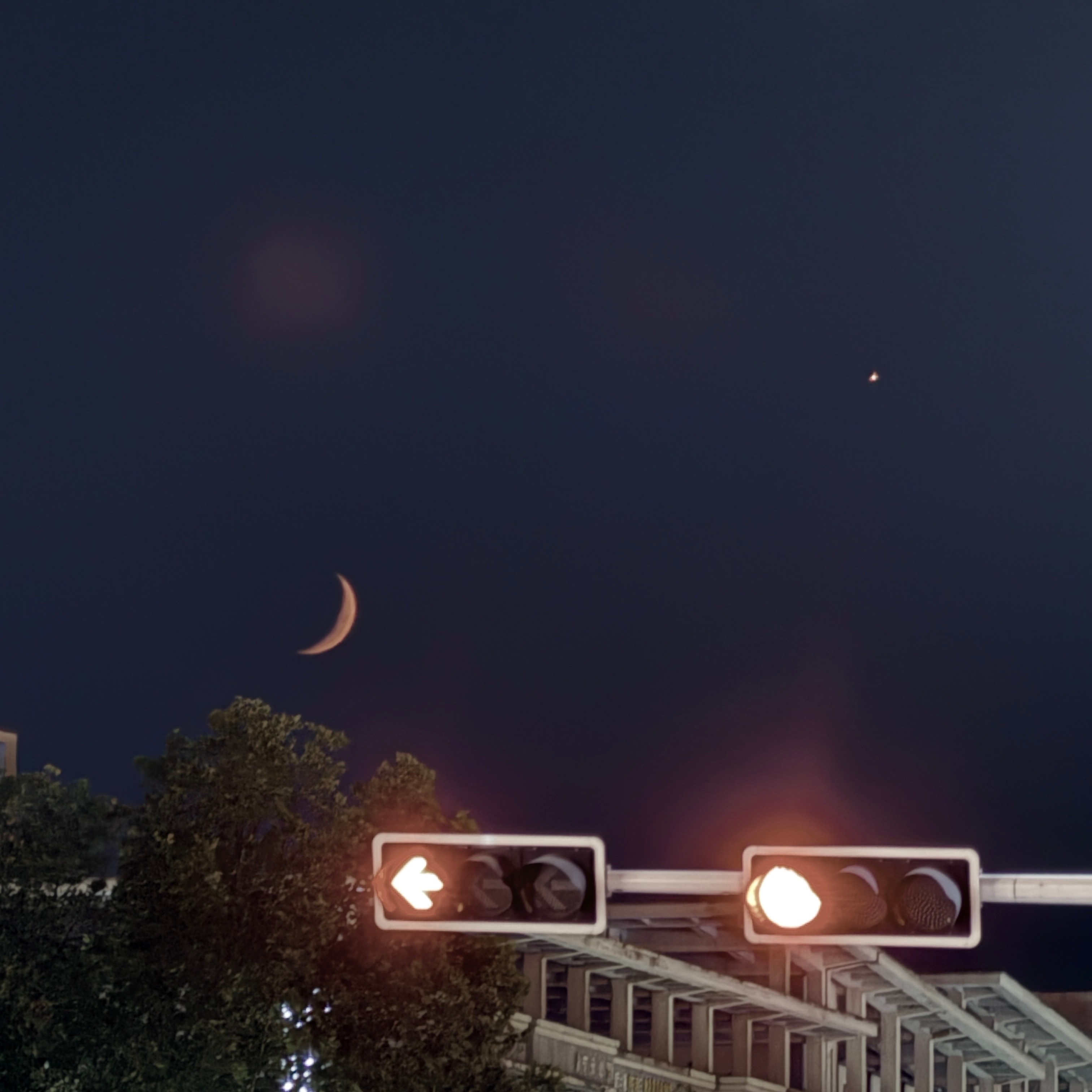 🌙 