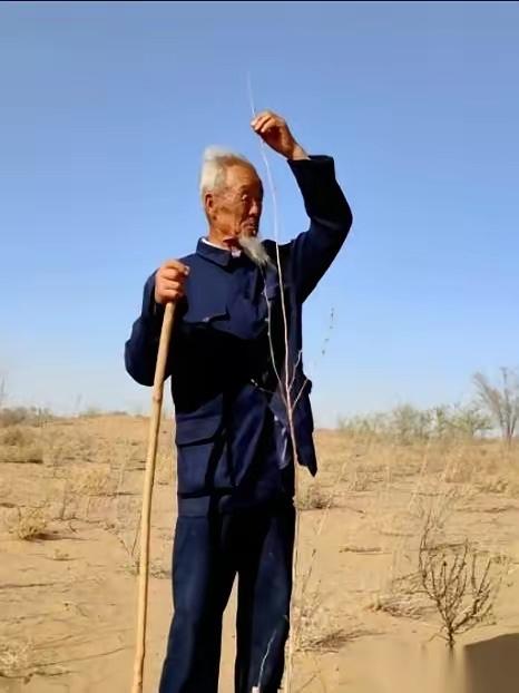 我有时候真的会怀疑，人和人的差距，是不是从骨头里就不一样。
一个31岁的男人，甘