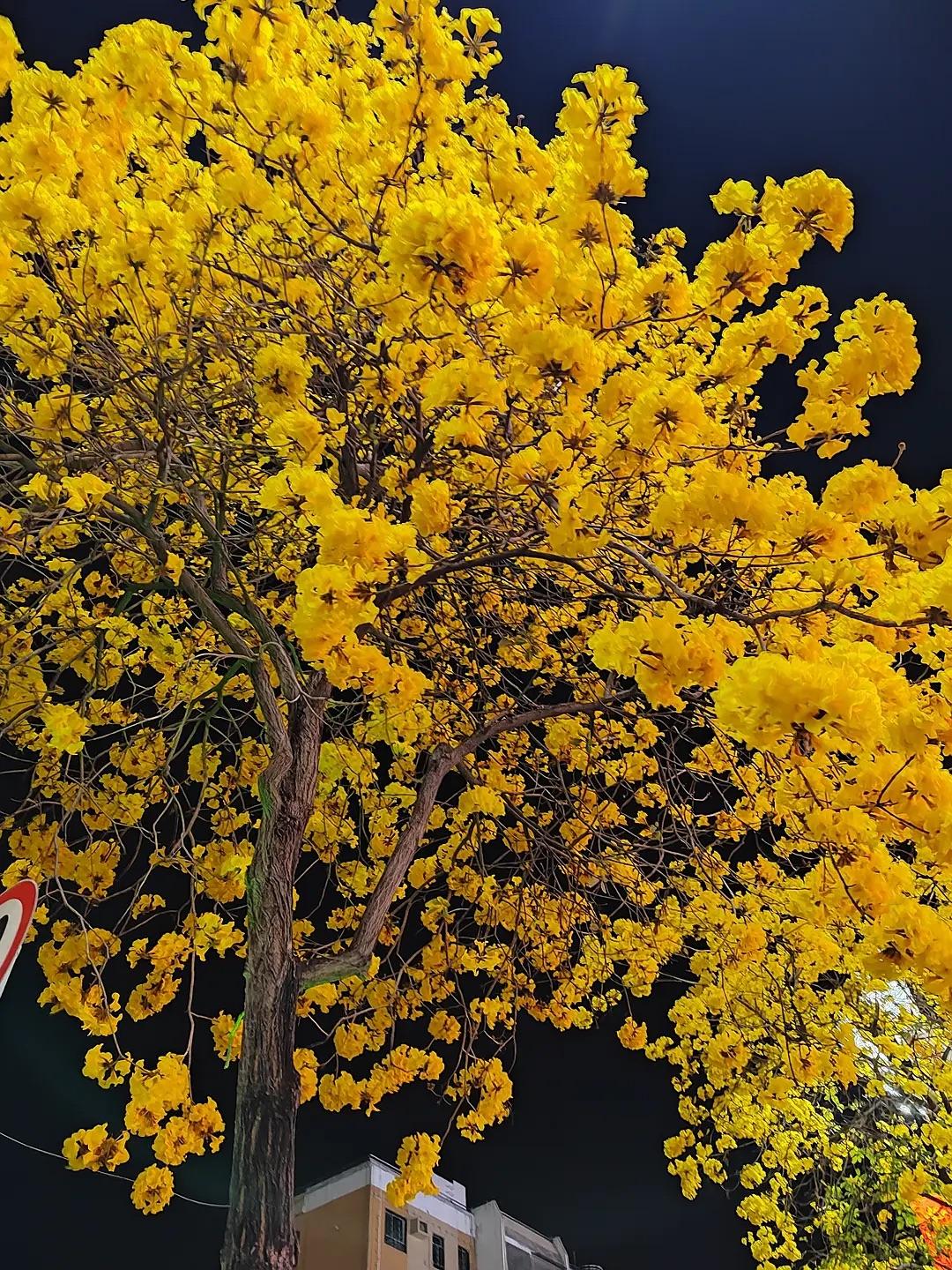 中国式人情世故二十条：

1、无法改变的事，不要再纠结。

2、男人再丑叫帅哥，