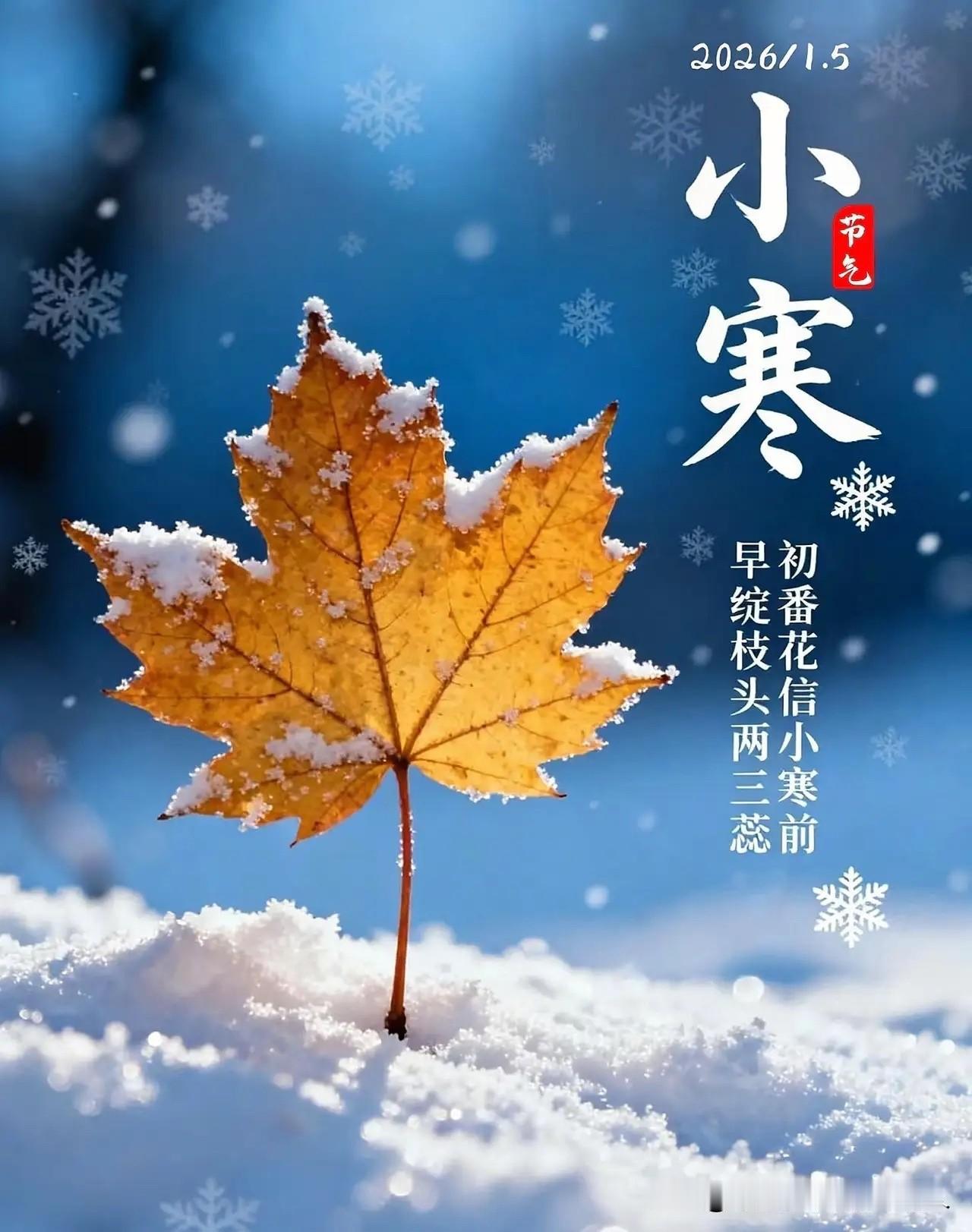 明天就是小寒了，这节气最忌讳的就是天气暖和。年轻人可能不懂，但老话说得好：“小寒