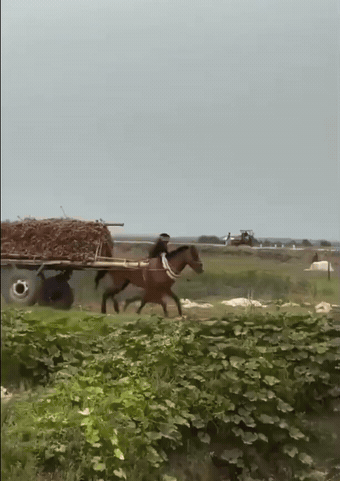 早就嘱咐过你们，小马拉大车不行！不行嘛！