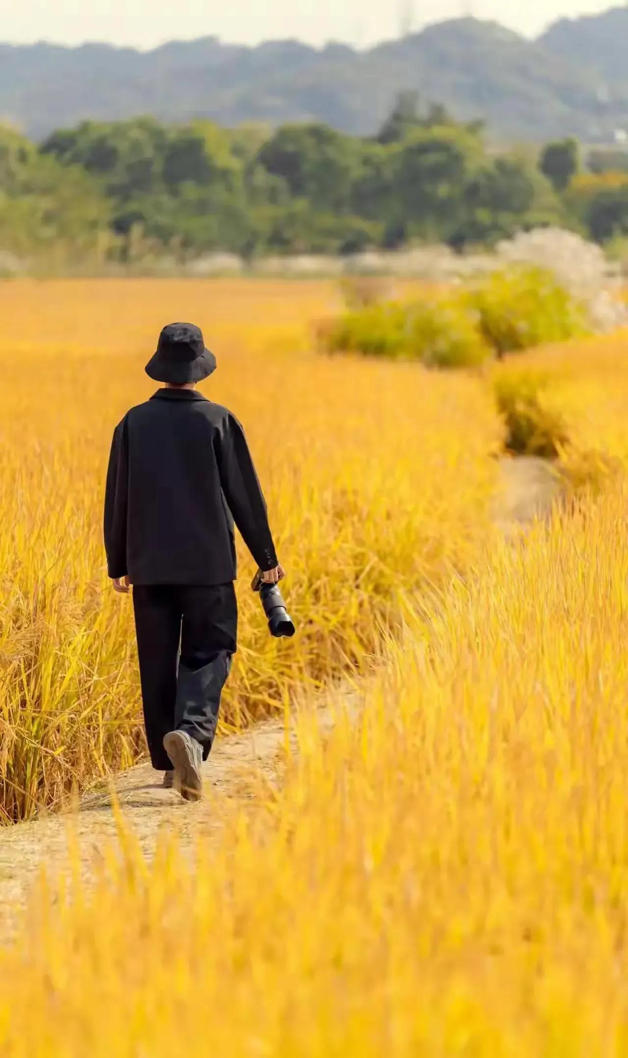 写微头条真是挺不容易的，别看短短的几十个字或者一百来字，要写出有实质内容，又和别