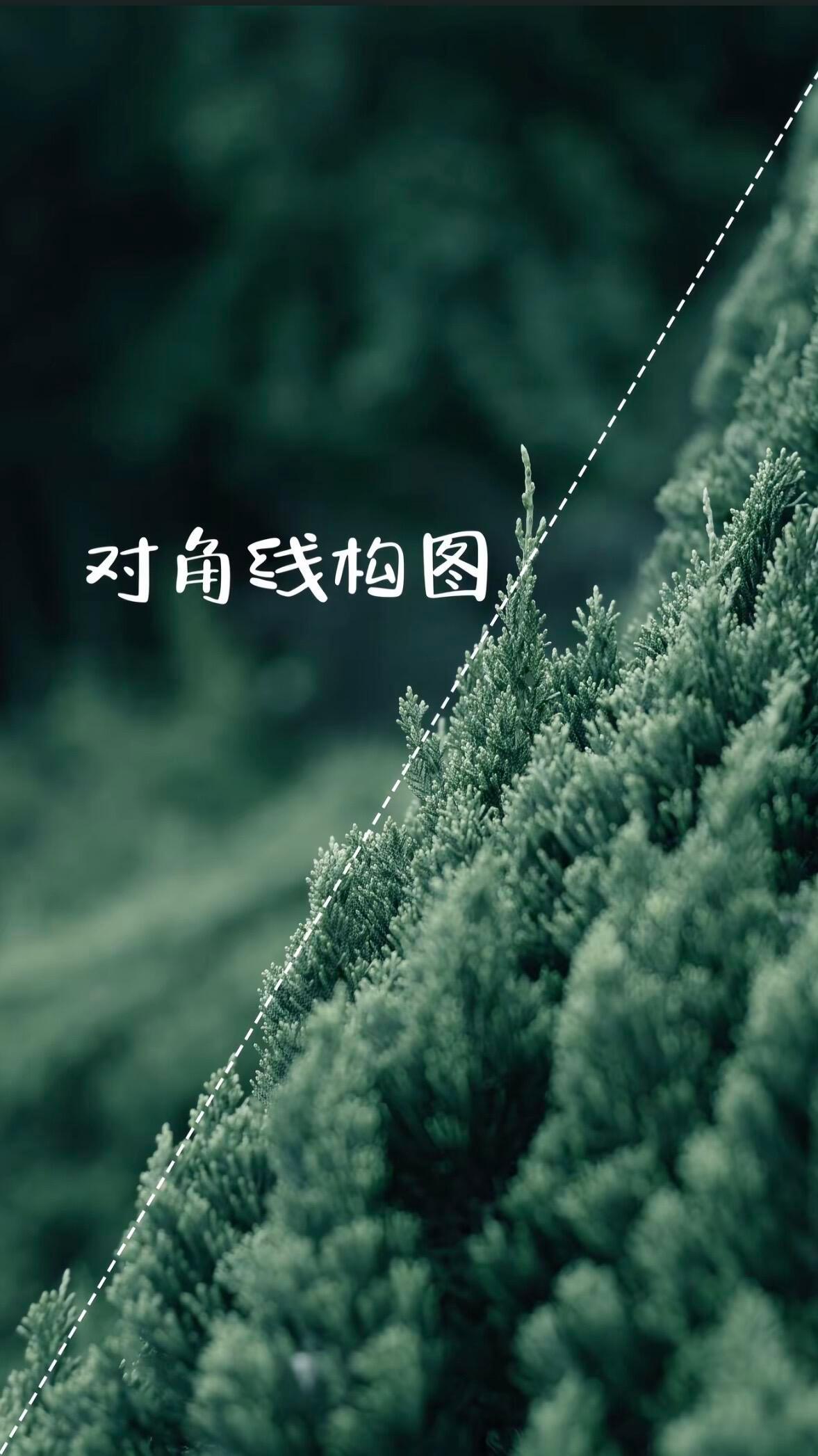 影像界来了个天才选手深耕影像赛道，出众的天赋真的很加分。懂光影、懂构图、懂情绪，