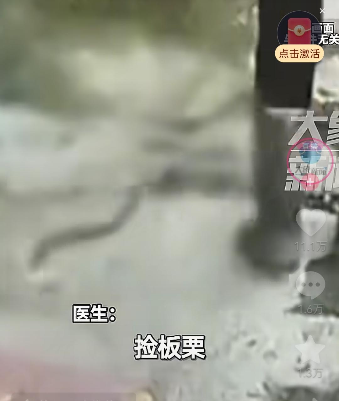 院子清理旧物被五步蛇咬伤，男子凝血功能崩溃，尿液变成酱油色
 
杭州这段时间持续