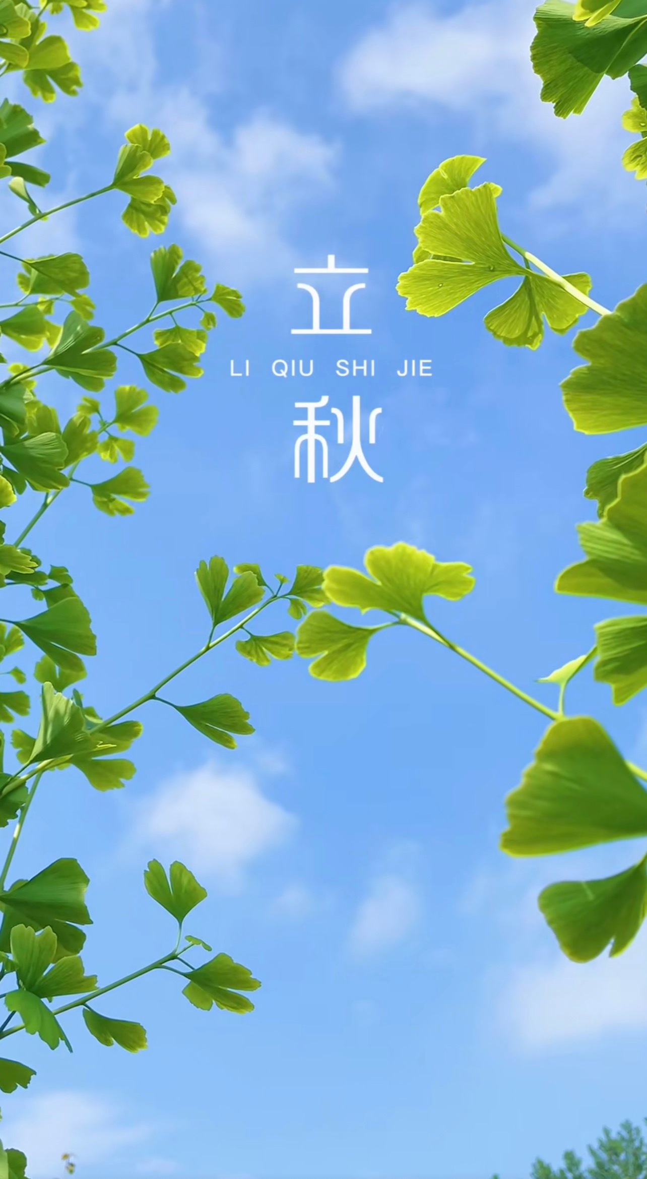 今日立秋🍂夏意慢慢退场，秋风温柔登场季节辗转更替，美好从未缺席在秋日的安稳里，
