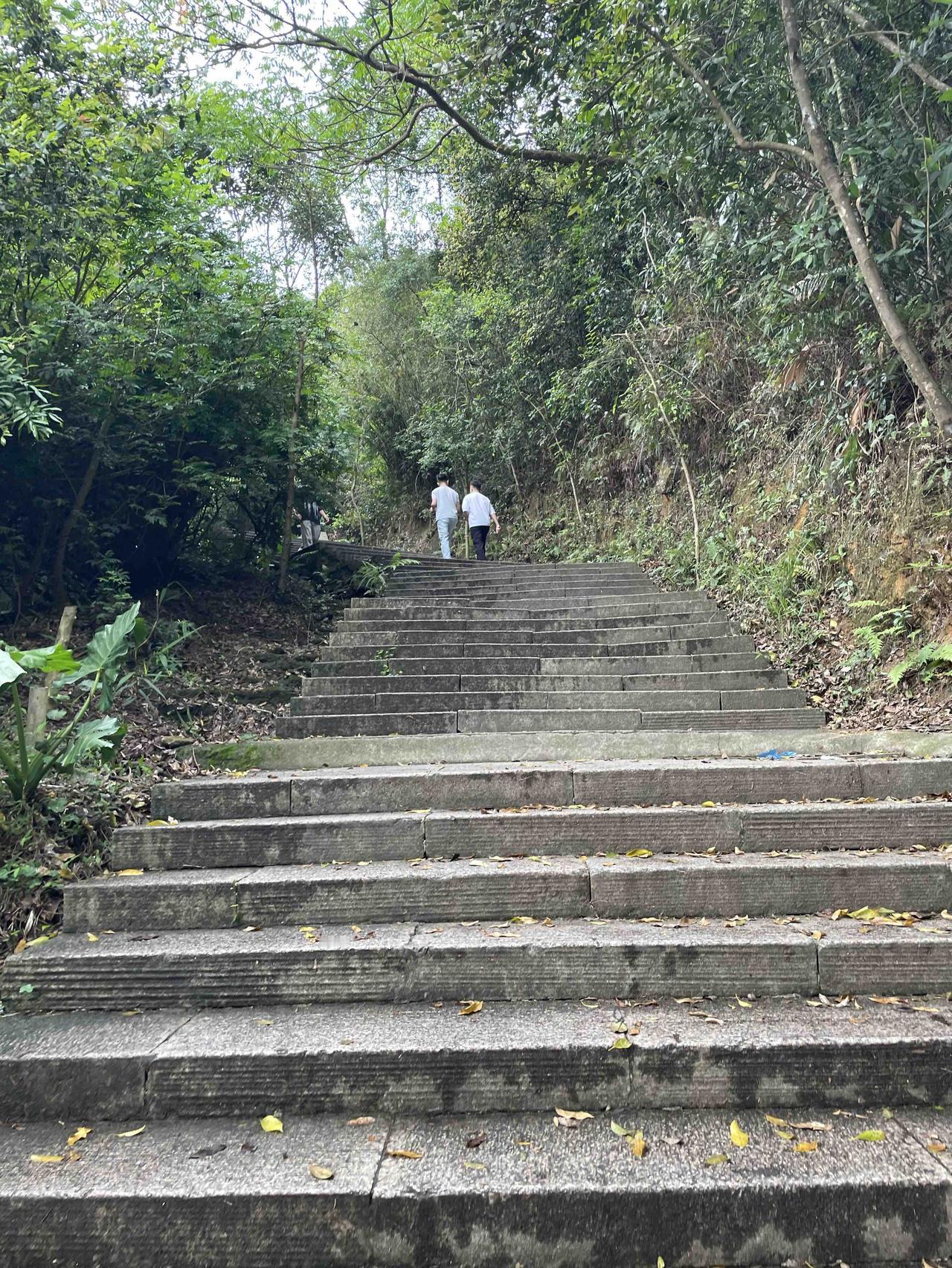 你们经常去爬山吗？深圳的山都不高而且树木茂盛，就算太阳再大也不怕，不像北方城市那